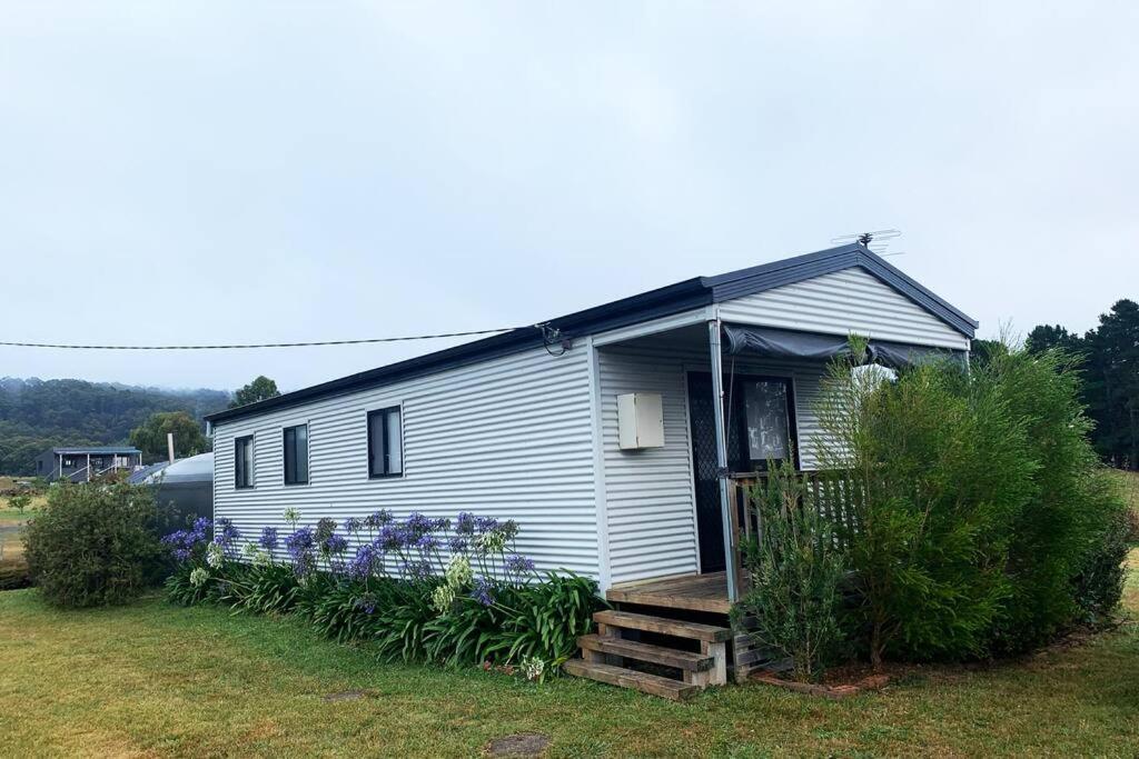 Beach Cottage - Port Arthur Exterior foto
